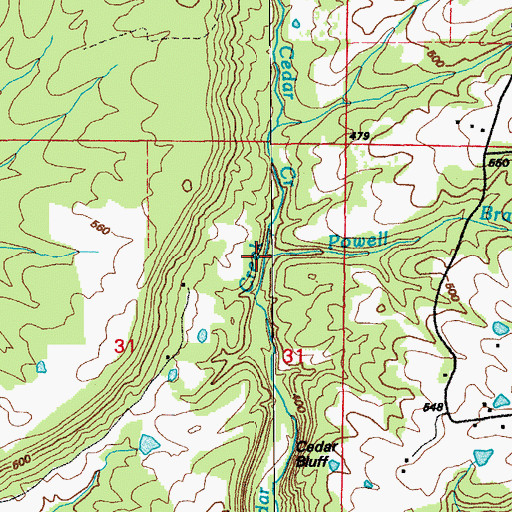 Topographic Map of Powell Branch, AR