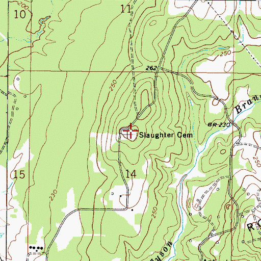 Topographic Map of Slaughter Cemetery, LA