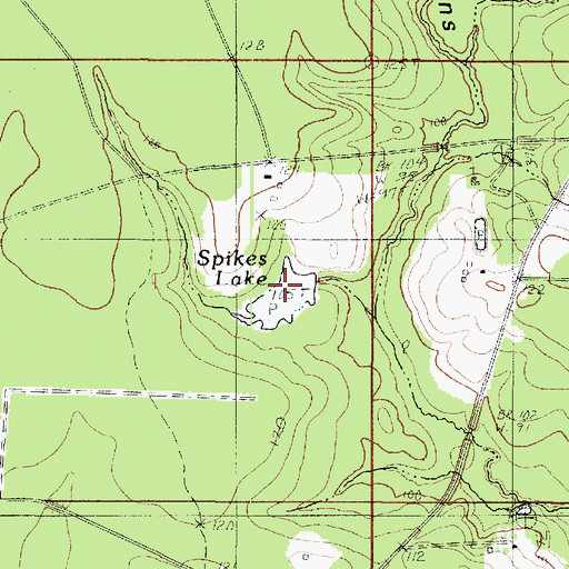 Topographic Map of Spikes Lake, LA