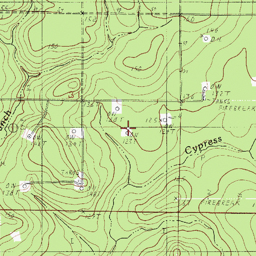 Topographic Map of North Bivens Oil Field, LA