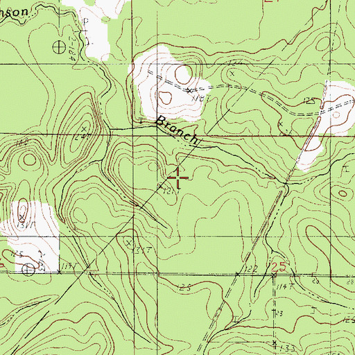 Topographic Map of Northwest Bivens Oil Field, LA
