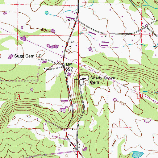 Topographic Map of Shady Grove Cemetery, AR