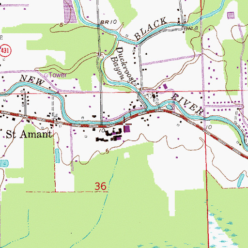 Topographic Map of Saint Amant Primary School, LA