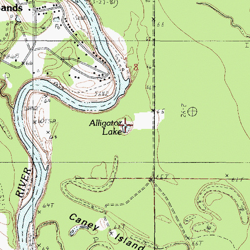 Topographic Map of Alligator Lake, LA