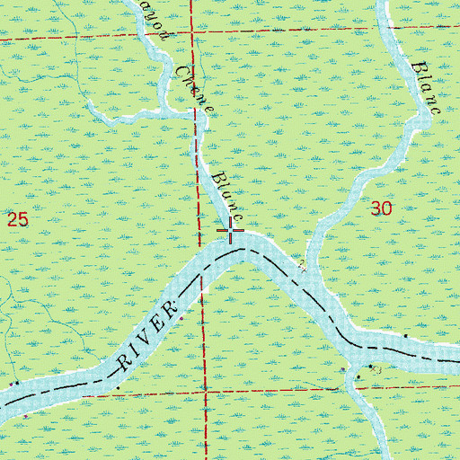 Topographic Map of Bayou Chene Blanc, LA