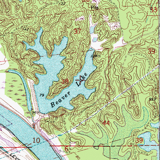 Topographic Map of Beaver Lake, LA