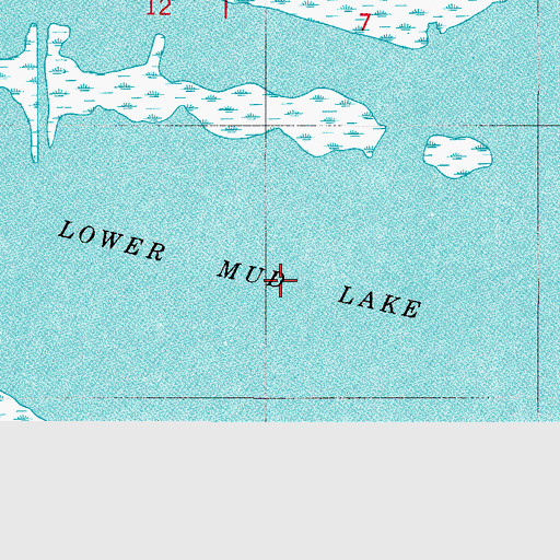 Topographic Map of Lower Mud Lake, LA