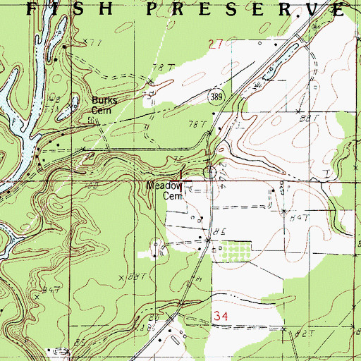 Topographic Map of Meadow Cemetery, LA