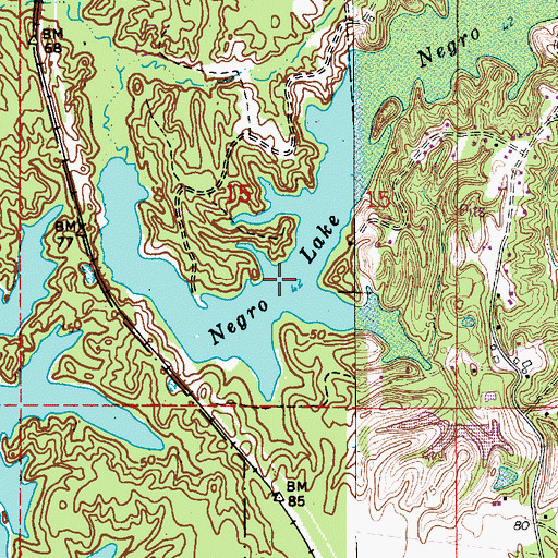 Topographic Map of Negro Lake, LA