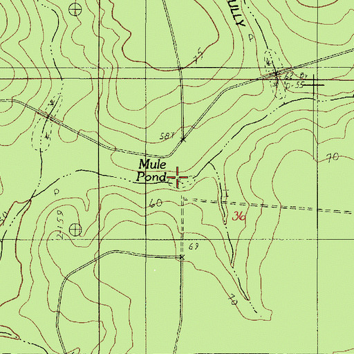 Topographic Map of Mule Pond, LA
