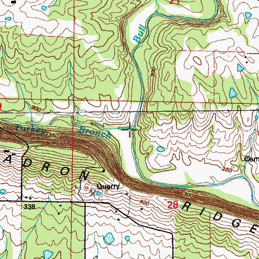 Topographic Map of Turkey Branch, AR