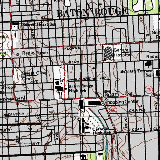 Topographic Map of Ogden Park, LA