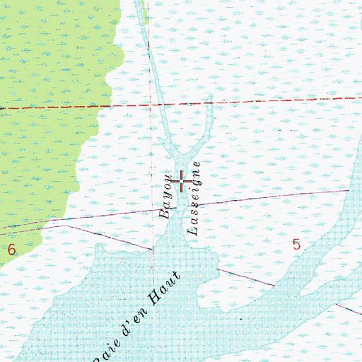 Topographic Map of Bayou Lasseigne, LA