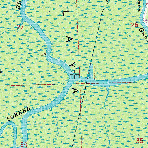 Topographic Map of Big Fork Bayou, LA