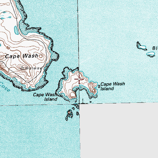 Topographic Map of Cape Wash Island, ME