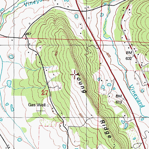 Topographic Map of Young Ridge, AR