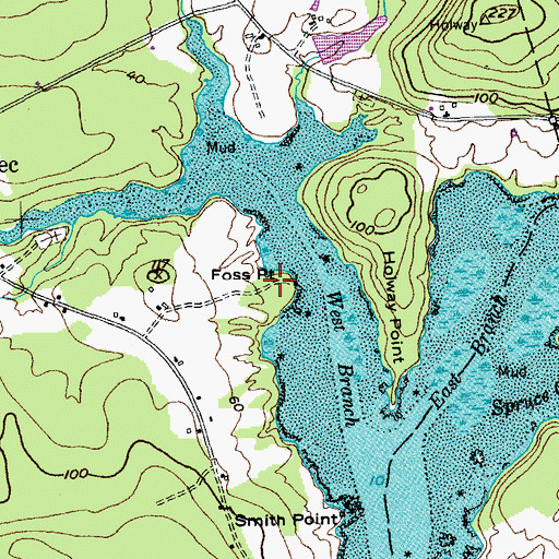 Topographic Map of Foss Point, ME