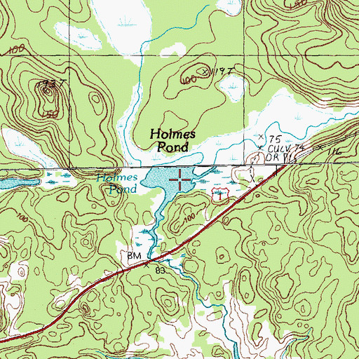 Topographic Map of Holmes Pond, ME