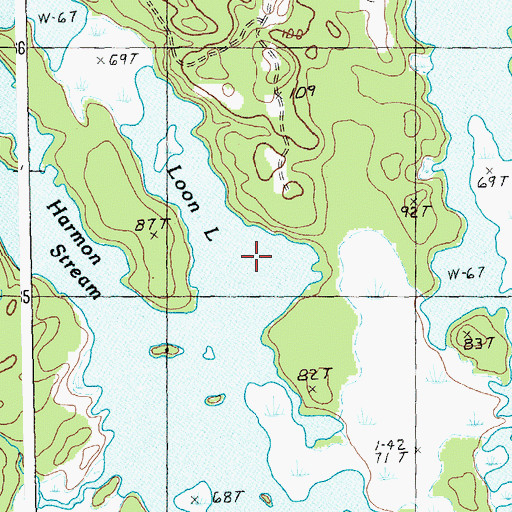 Topographic Map of Loon Lake, ME