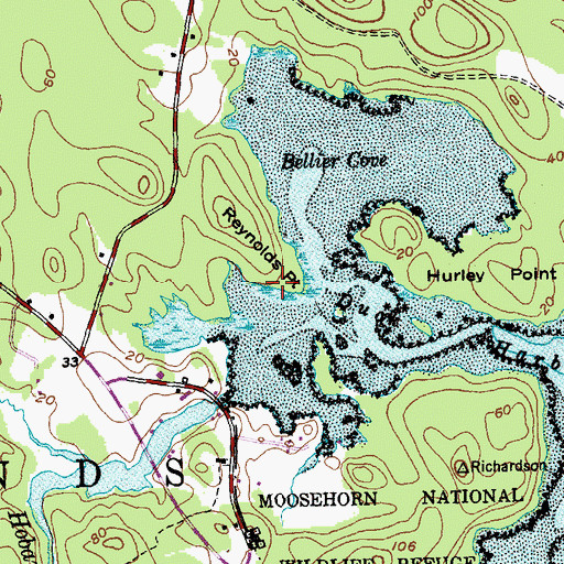 Topographic Map of Reynolds Point, ME