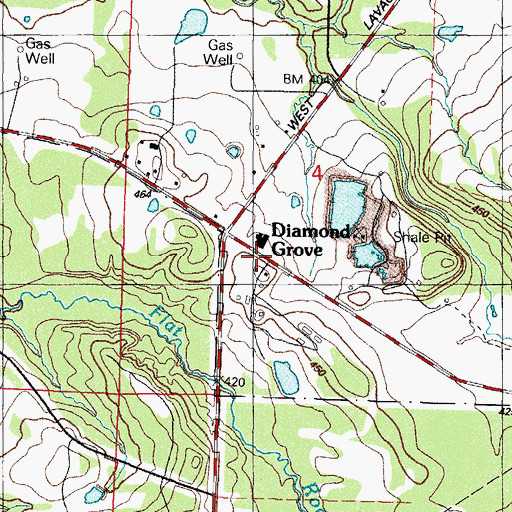 Topographic Map of Diamond Grove, AR
