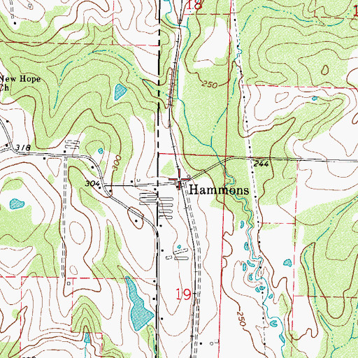 Topographic Map of Hammons, AR