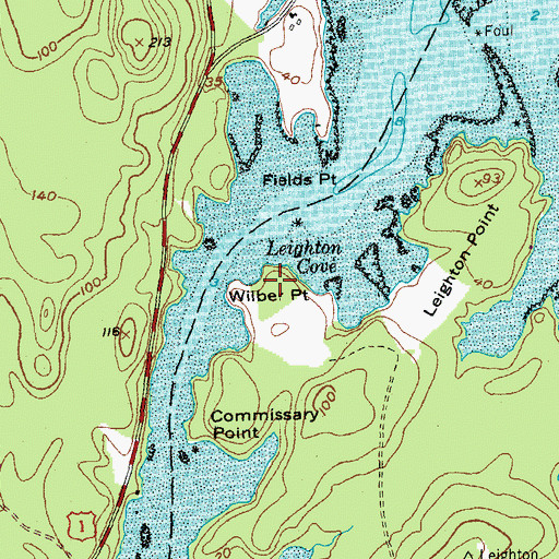 Topographic Map of Wilber Point, ME