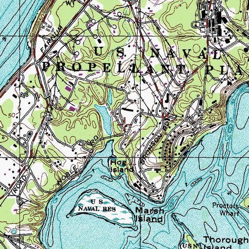 Topographic Map of Hog Island, MD