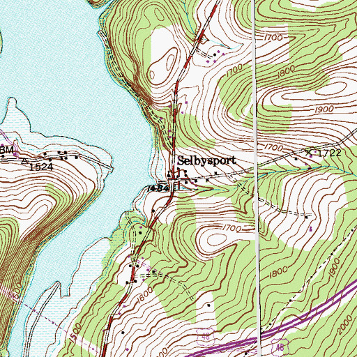 Topographic Map of Selbysport, MD