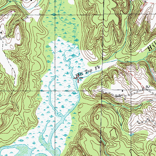 Topographic Map of Wards Run, MD