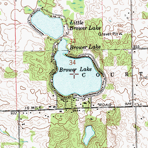 Topographic Map of Brower Lake, MI