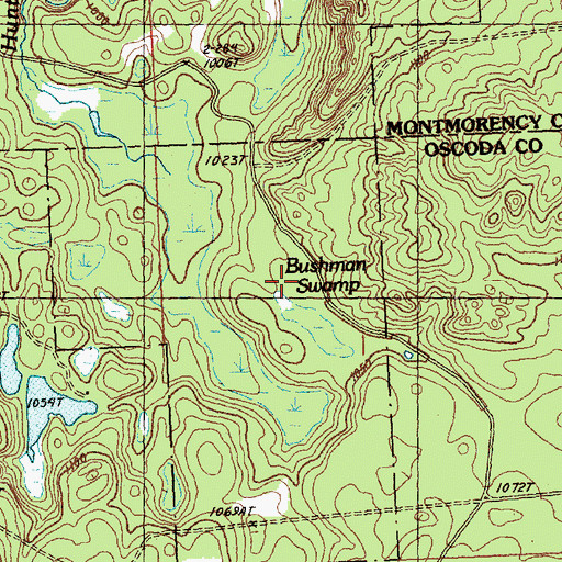 Topographic Map of Bushman Swamp, MI