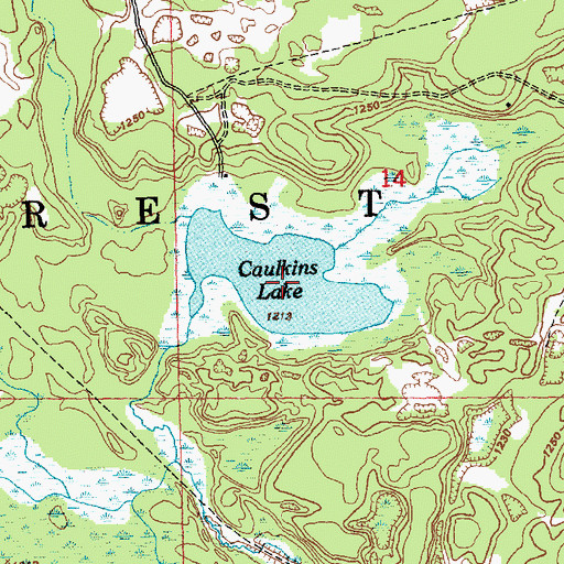 Topographic Map of Caulkins Lake, MI