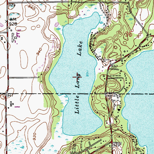 Topographic Map of Little Long Lake, MI