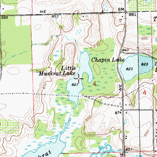 Topographic Map of Little Muskrat Lake, MI