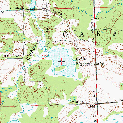 Topographic Map of Little Wabasis Lake, MI