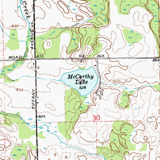 Topographic Map of McCarthy Lake, MI