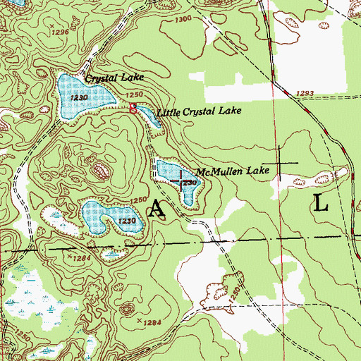 Topographic Map of McMullen Lake, MI