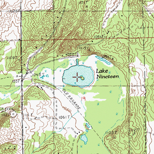 Topographic Map of Lake Nineteen, MI