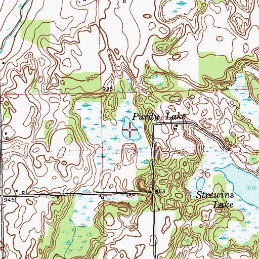 Topographic Map of Purdy Lake, MI