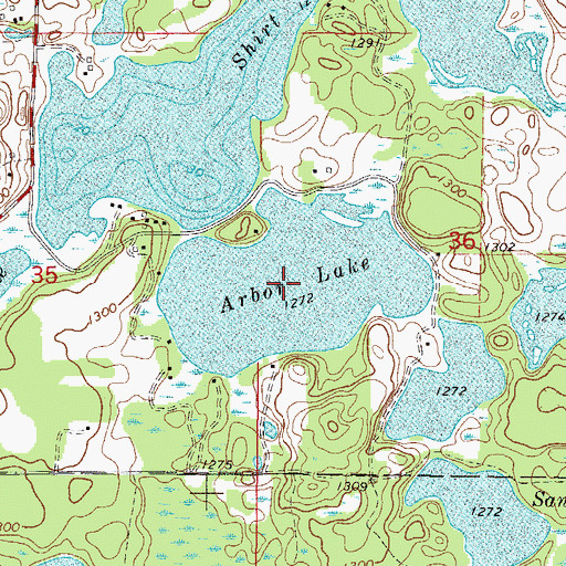 Topographic Map of Arbor Lake, MN