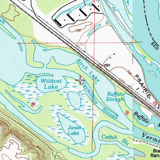 Topographic Map of Birch Lake, MN