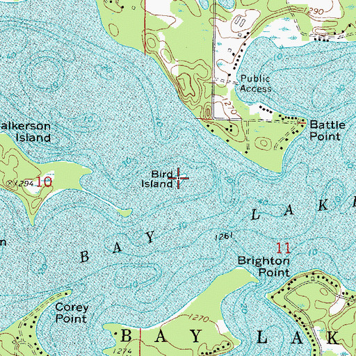Topographic Map of Bird Island, MN