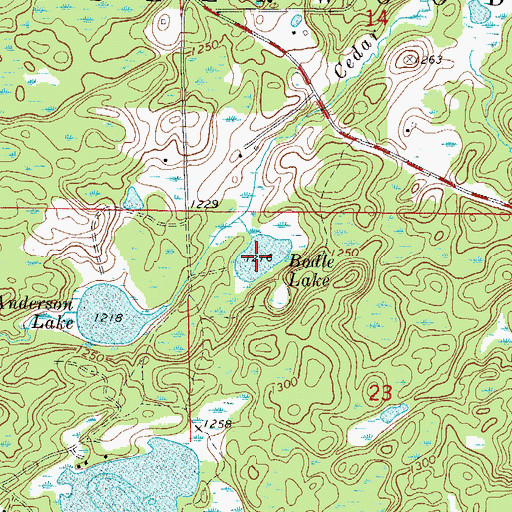 Topographic Map of Bodle Lake, MN