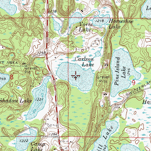 Topographic Map of Carlson Lake, MN