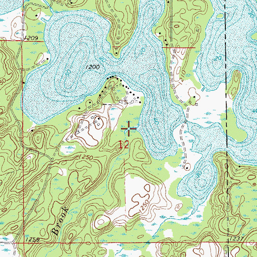 Topographic Map of Cedar Brook, MN