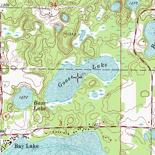 Topographic Map of Goose Lake, MN