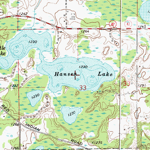 Topographic Map of Hanson Lake, MN