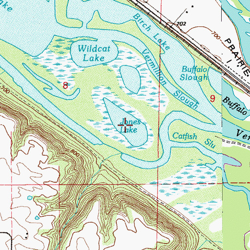 Topographic Map of Jones Lake, MN