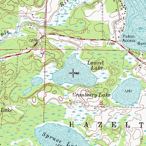 Topographic Map of Laurel Lake, MN